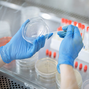 Schneider Disposable Vinyl Synthetic Exam Gloves 10x100 Case Pack - VSFB30 Blue - 4Mil - SchneiderDirect.com