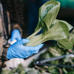 Schneider Disposable Vinyl Synthetic Exam Gloves 10x100 Case Pack - VSFB30 Blue - 4Mil - SchneiderDirect.com