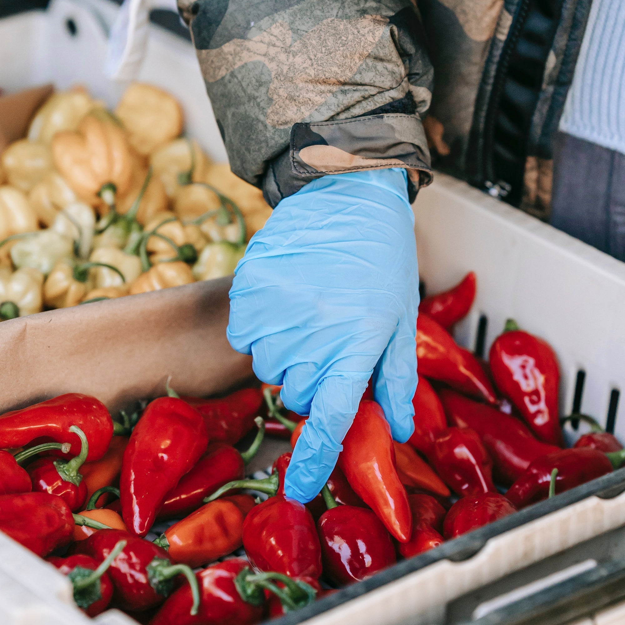 SwiftGrip Disposable Light-Duty Nitrile Exam Gloves, Blue, EN35B Series (3 mil), 100ct Box image 7